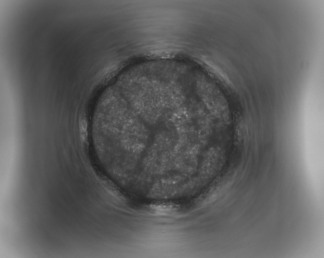 X0000112470693200909141119