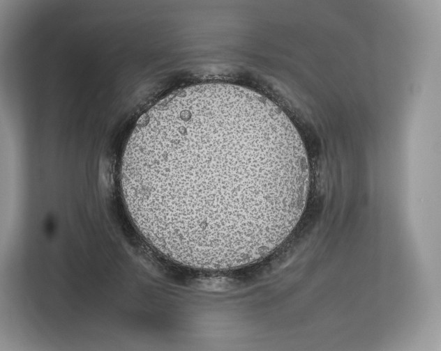 X0000112470695200909141118