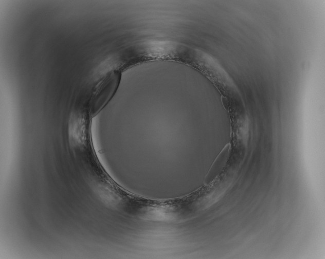 X0000112470696200909141118