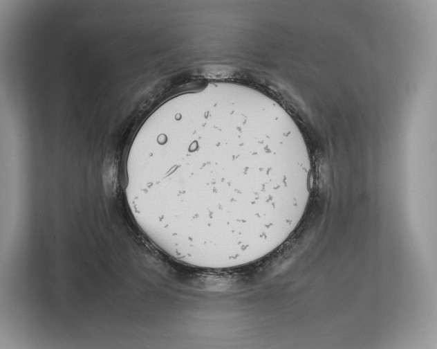 X0000112470697200909141118