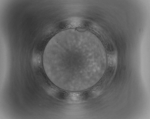 X0000112470701200909141118