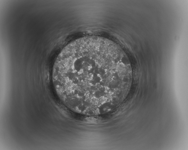 X0000112470703200909141118