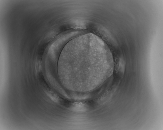 X0000112470704200909141118