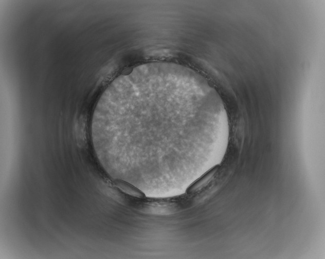 X0000112470708200909141118