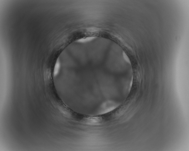 X0000112470711200909141118