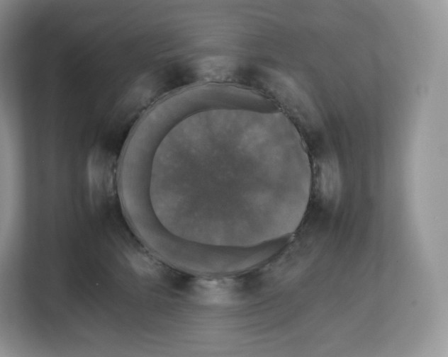 X0000112470712200909141118