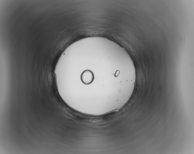 X0000112470716200909141118