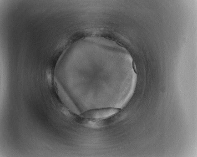 X0000112470720200909141118