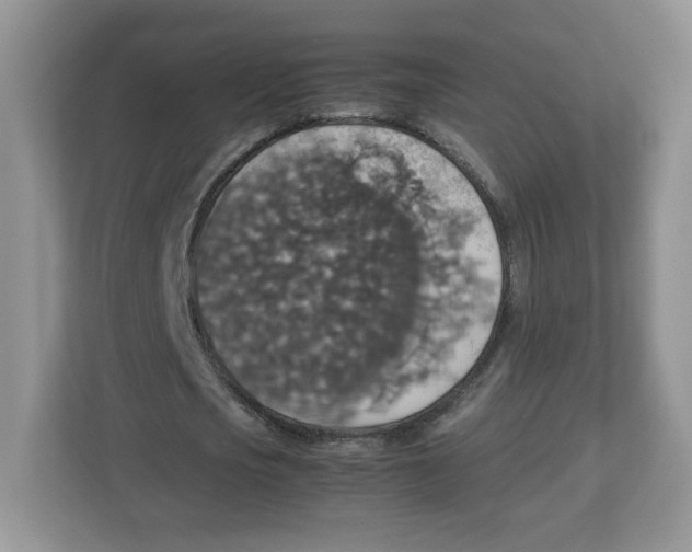 X0000112470721200909141118