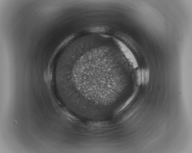 X0000112470723200909141118