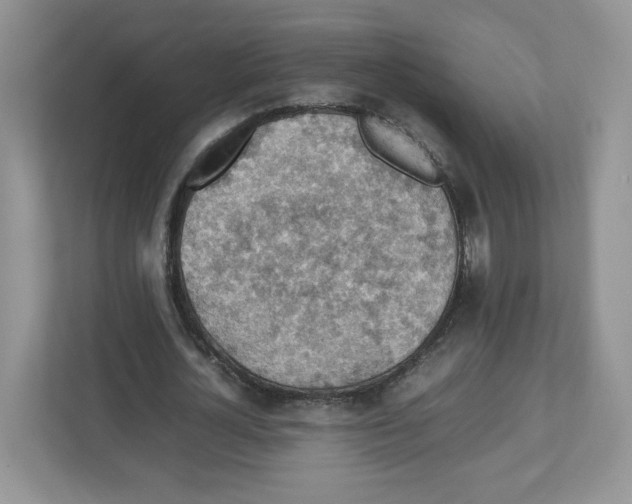 X0000112470724200909141118
