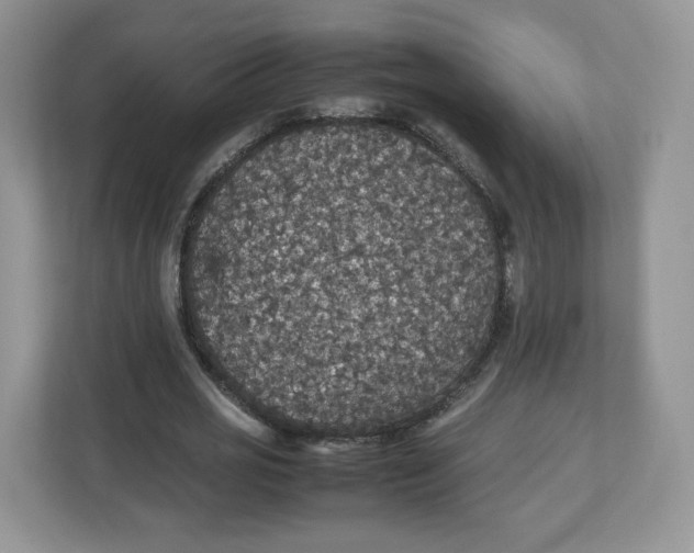 X0000112470725200909141118