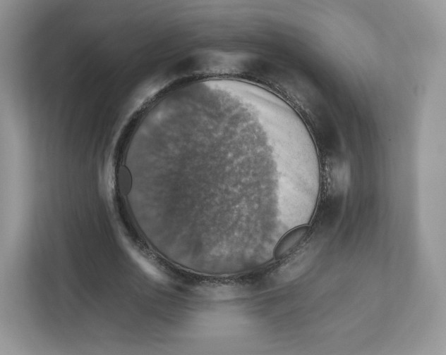 X0000112470726200909141118