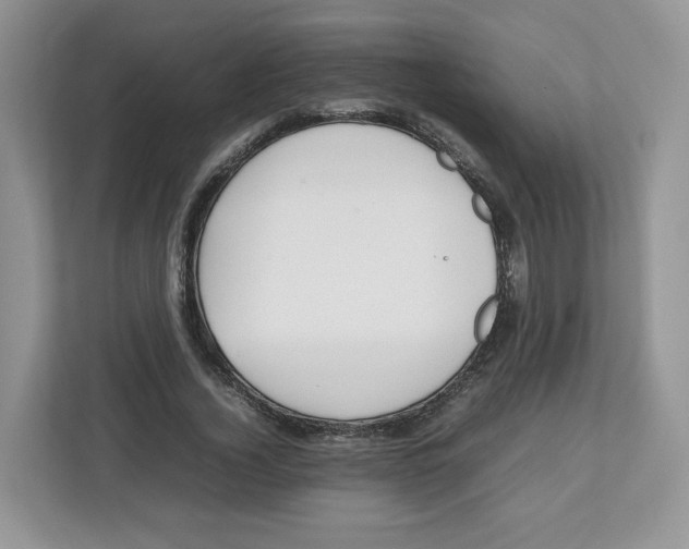 X0000112470732200909141118
