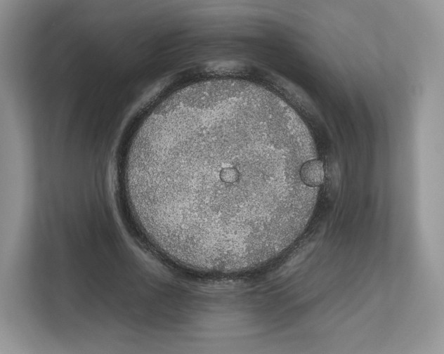 X0000112470734200909141118