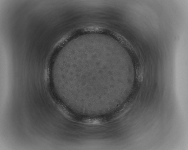 X0000112470735200909141118