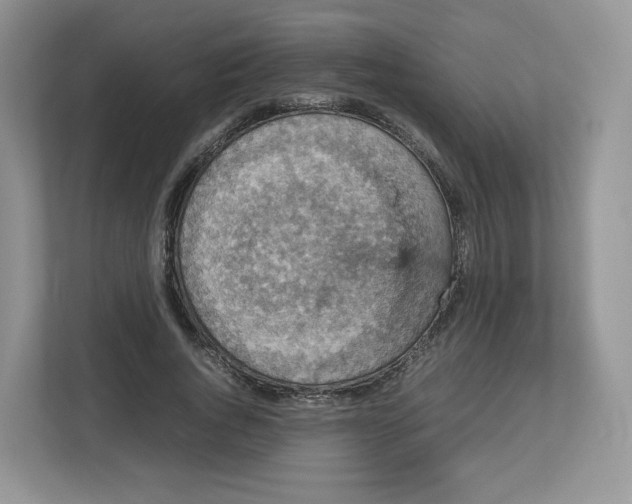 X0000112470736200909141118
