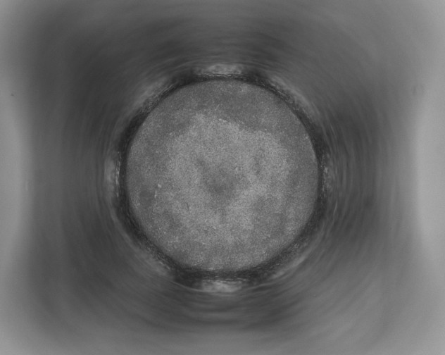 X0000112470739200909141118