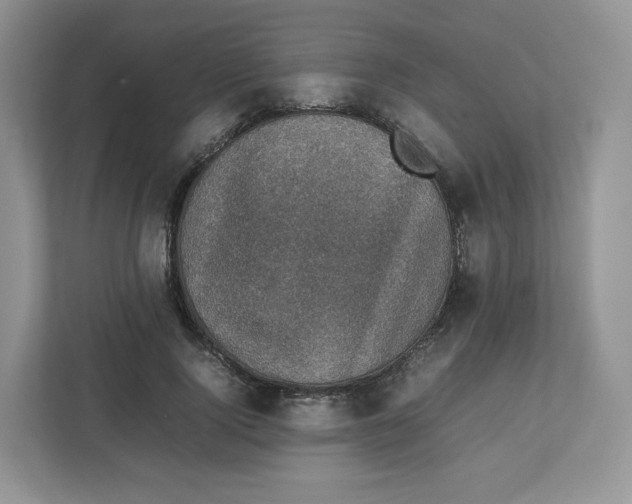 X0000112470740200909141118