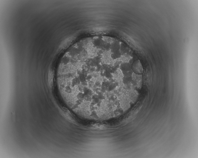 X0000112470742200909141118