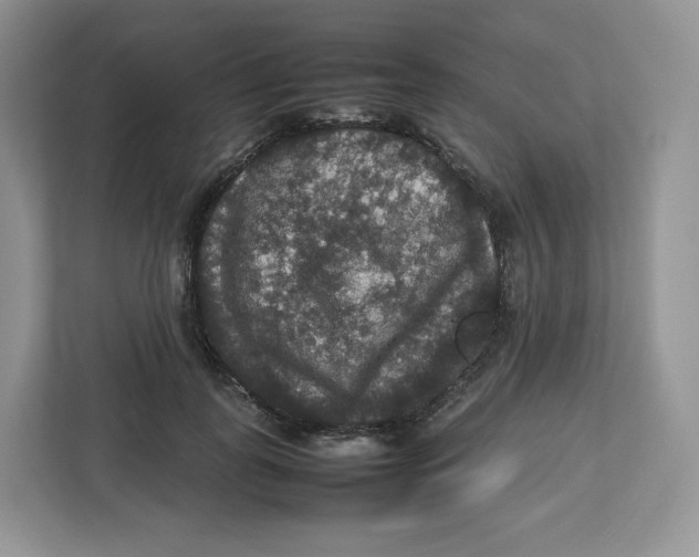 X0000112470747200909141118