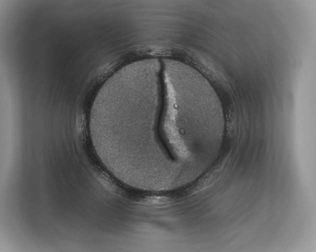 X0000112470748200909141118