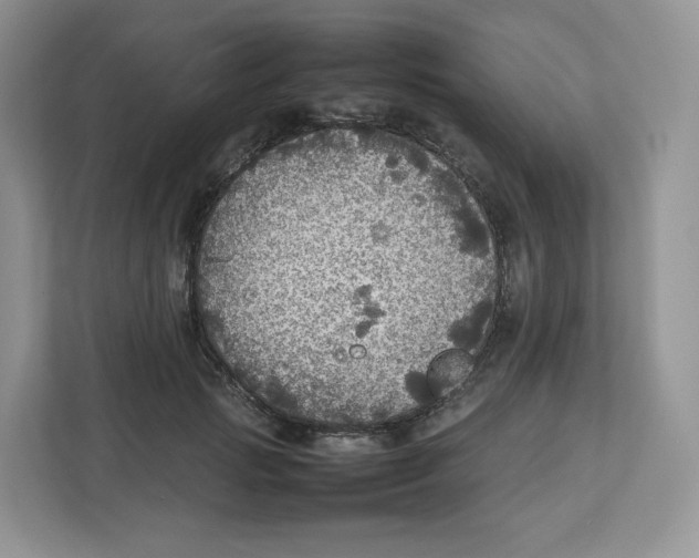 X0000112470749200909141118
