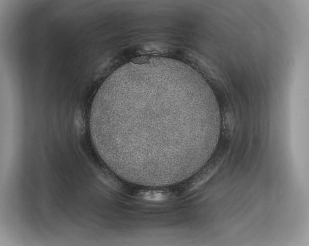 X0000112470751200909141118