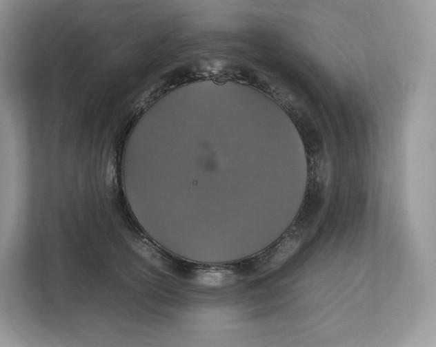 X0000112470754200909141118
