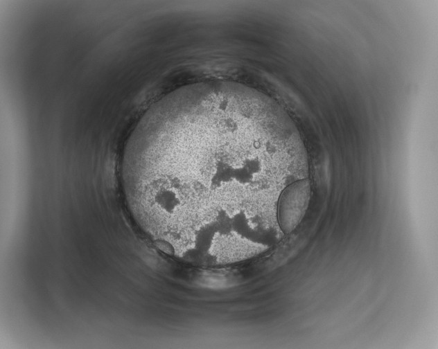 X0000112470757200909141118