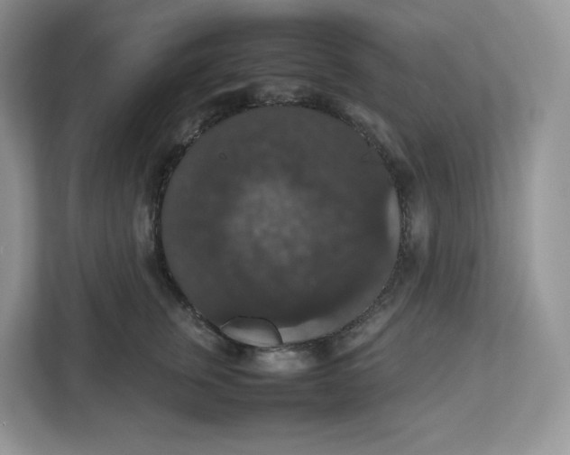 X0000112470759200909141118