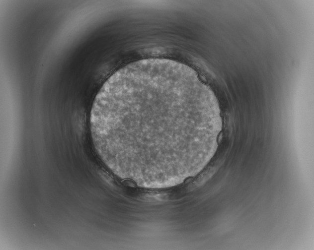 X0000112470760200909141118