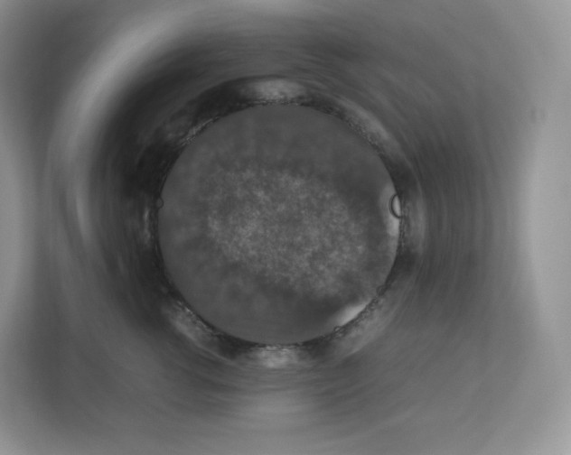 X0000112470762200909141118