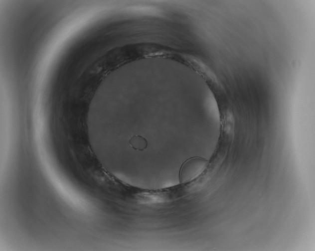 X0000112470763200909141118