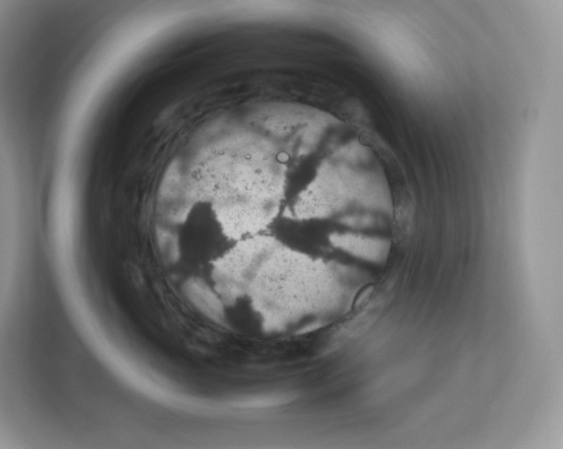 X0000112470765200909141118