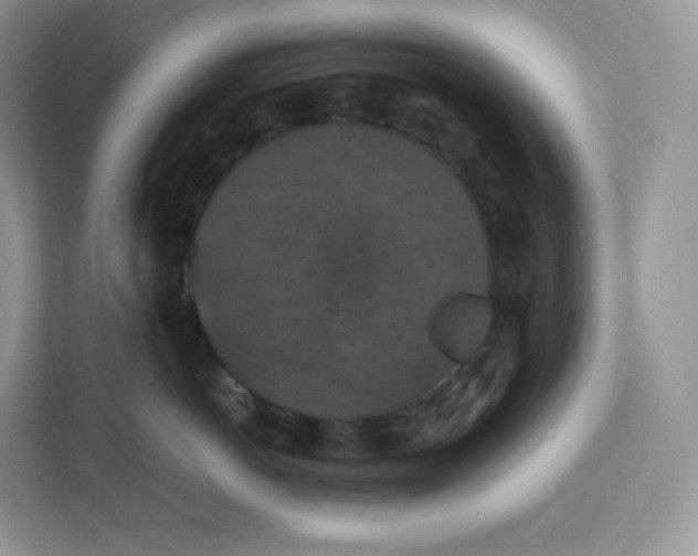 X0000112470766200909141118