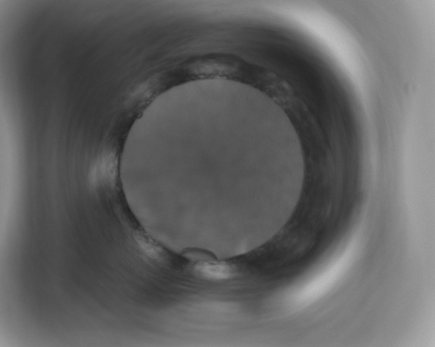 X0000112470767200909141118
