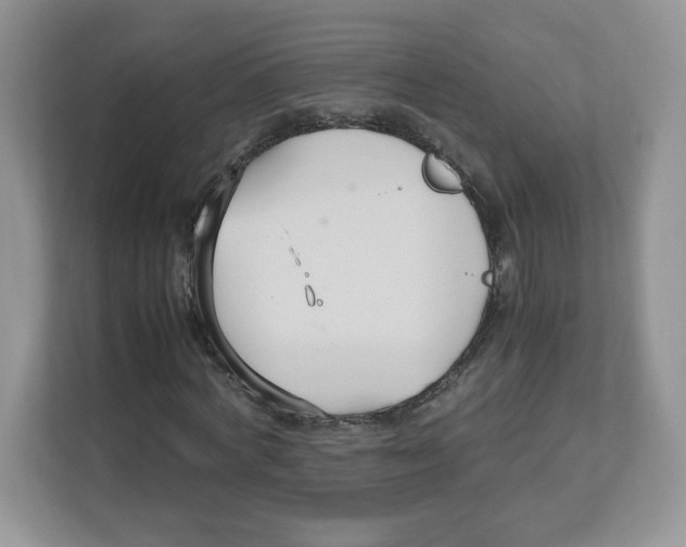 X0000112470772200909141117