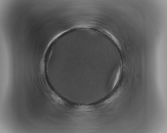 X0000112470779200909141117