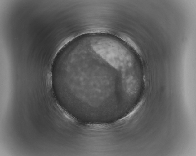 X0000112470781200909141117