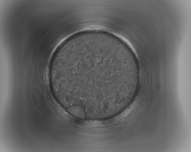 X0000112470783200909141117