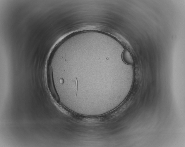 X0000112470792200909141117