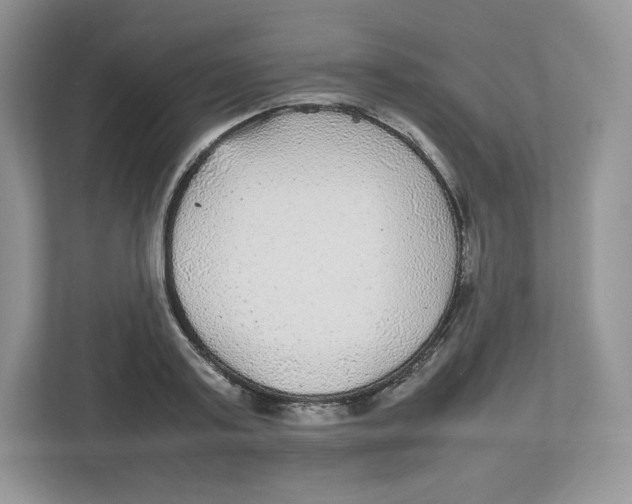X0000112470795200909141117