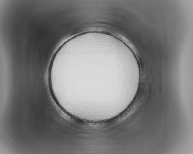 X0000112470803200909141117