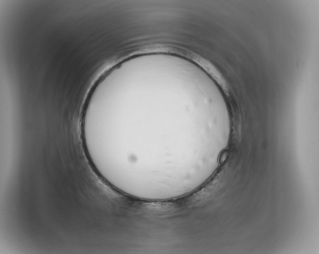 X0000112470805200909141117