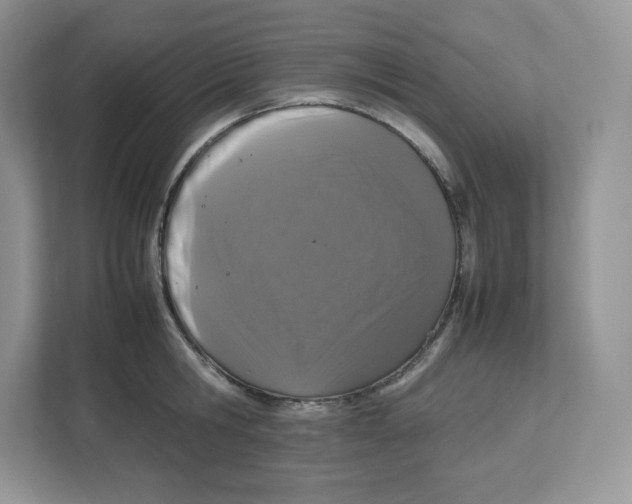 X0000112470806200909141117