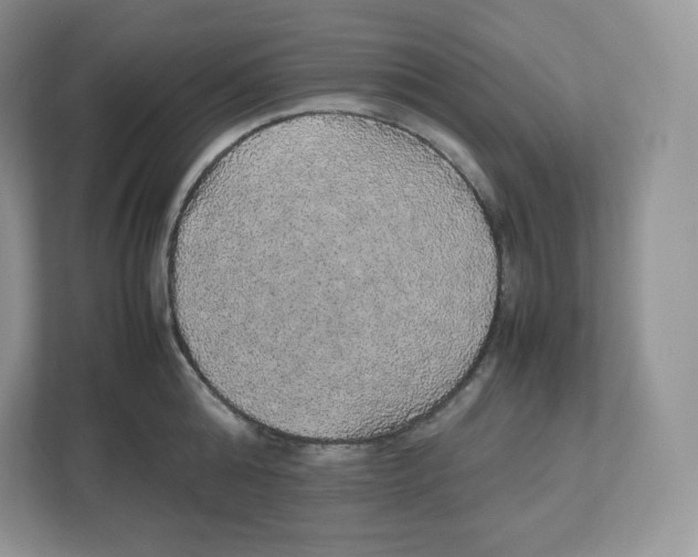 X0000112470808200909141117