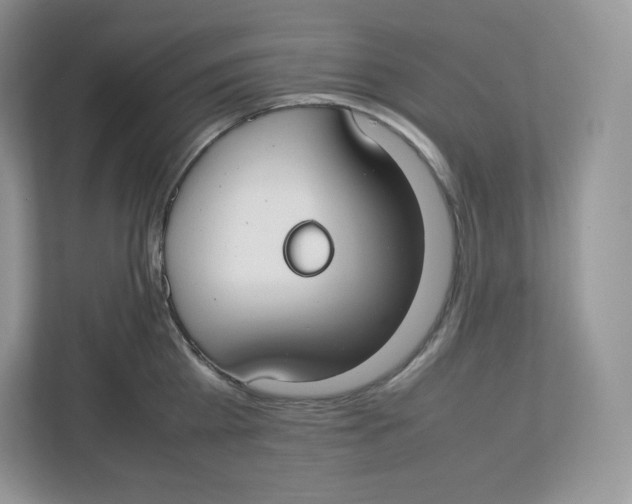 X0000112470809200909141117