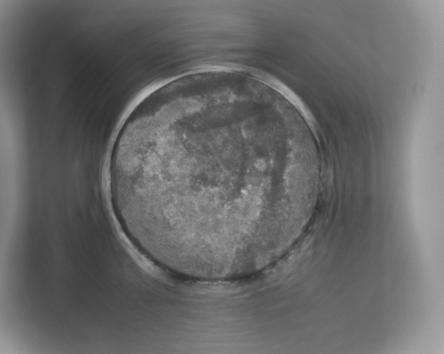 X0000112470811200909141117