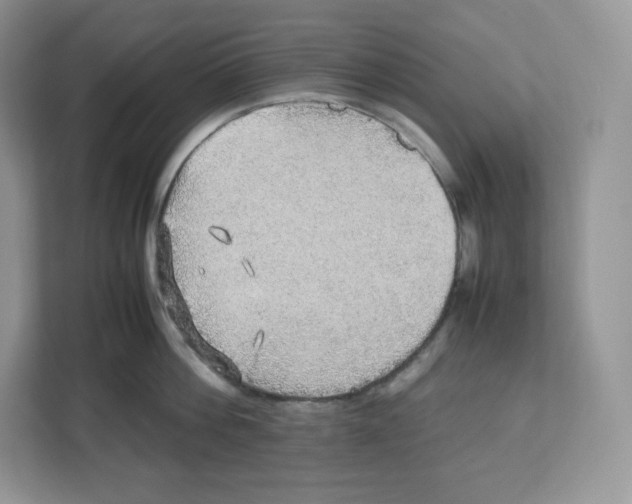 X0000112470812200909141117